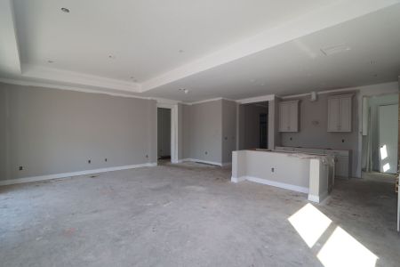 New construction Single-Family house 20264 Oriana Loop, Land O' Lakes, FL 34638 Santa Monica- photo 106 106