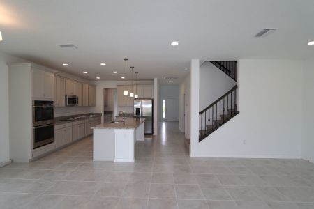 New construction Single-Family house 38433 Pindos Dr, Dade City, FL 33525 Mira Lago- photo 61 61