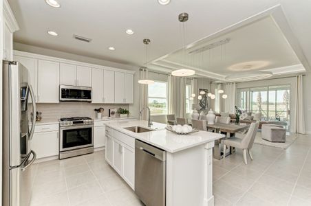 New construction Single-Family house 4108 Sea Marsh Pl, Parrish, FL 34219 plan Boca Grande 2 Villa - image 5