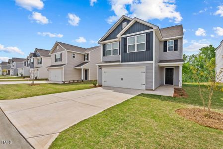 New construction Single-Family house 300 Rhino Bnd, Oxford, NC 27565 null- photo 0 0