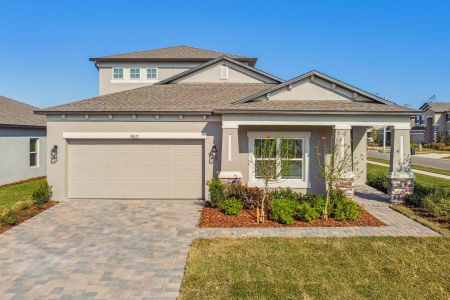 New construction Single-Family house 38471 Barrel Dr, Dade City, FL 33525 Picasso Bonus- photo 88 88