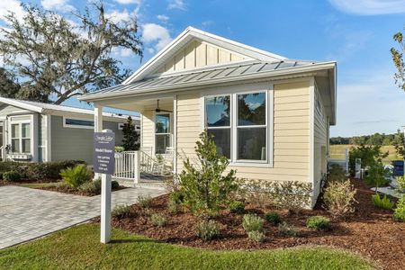 New construction Single-Family house 12176 Grand Oak Lane, Wildwood, FL 34484 - photo 2 2