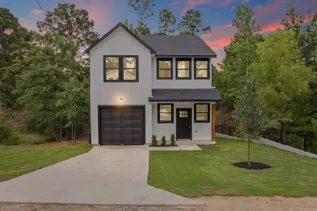 New construction Single-Family house 161 Honopu Dr, Bastrop, TX 78602 - image