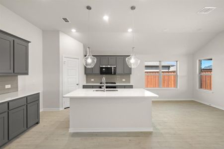 New construction Single-Family house 728 Scarlet Sage Dr, Waxahachie, TX 75165 plan Cheyenne - image 5