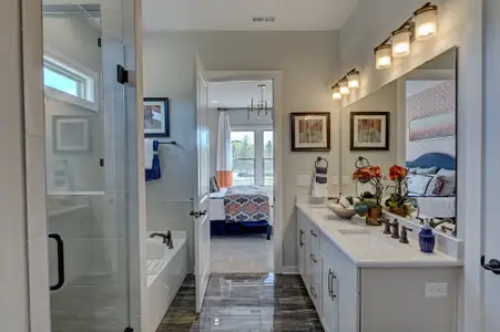 New construction Single-Family house 3010 River Falls Dr, Tega Cay, SC 29708 plan Laney - image 18