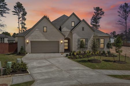 New construction Single-Family house 12846 Forest Garden Ct, Conroe, TX 77302 plan 5042 Elevation D - image
