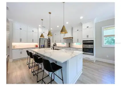 New construction Single-Family house 18460 Purple Creek Ln, Lutz, FL 33549 plan Briarwood - image 16