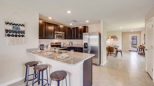 New construction Single-Family house 3831 Turning Tides Ter, Bradenton, FL 34208 null- photo 11 11