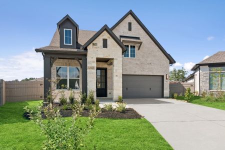New construction Single-Family house 15806 Tamarin Tiger Ct, Conroe, TX 77302 plan The Busch - image