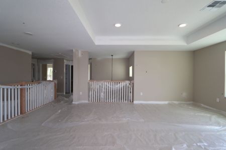 New construction Single-Family house 20351 Oriana Loop, Land O' Lakes, FL 34638 Coronado II- photo 150 150