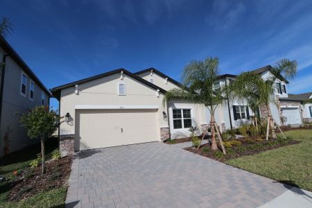 New construction Single-Family house 4763 Beachrose Way, Lakeland, FL 33811 Picasso- photo 32 32