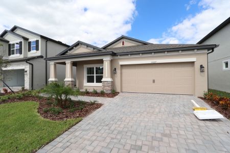 New construction Single-Family house 33227 Amling Pecan Br, Wesley Chapel, FL 33545 Newport II- photo 60 60