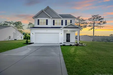 New construction Single-Family house 30 Blackgum Ct, Spring Lake, NC 28390 - image