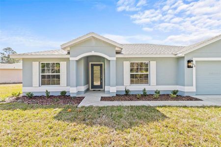 New construction Single-Family house 158 Palmwood Dr, Palm Coast, FL 32164 null- photo 4 4