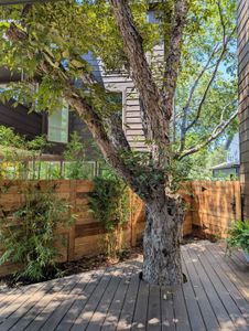 New construction Single-Family house 4614 Philco Dr, Unit 3, Austin, TX 78745 - image