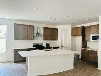 New construction Single-Family house 19679 Fort King Run, Brooksville, FL 34601 - image 12