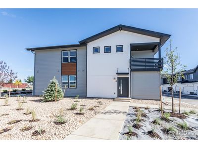 New construction Single-Family house 1825 Bounty Dr, Windsor, CO 80550 - image