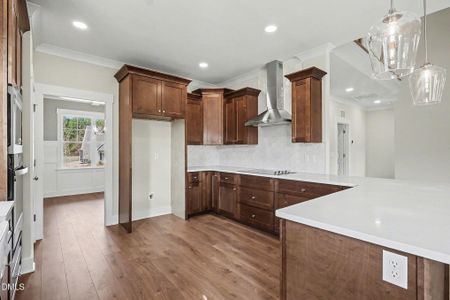 New construction Single-Family house 141 Juju Dr, Clayton, NC 27520 - image 6