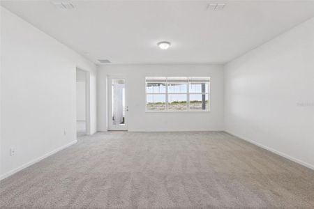 New construction Single-Family house 3704 Watercliff Cir, Grand Island, FL 32735 - image 19