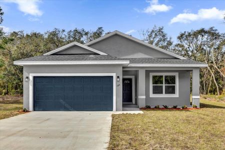 New construction Single-Family house 160 Fisher Way Trl, Ocklawaha, FL 32179 - photo 0