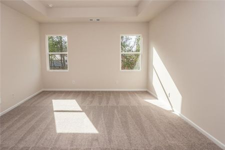 New construction Single-Family house 179 Hydrangea Ct, Dallas, GA 30132 Augusta- photo 19 19