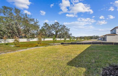 New construction Single-Family house 12620 Glenn Creek Dr, Riverview, FL 33569 Coral- photo 22 22