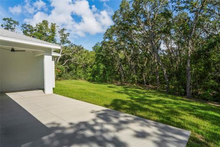 New construction Single-Family house 279 W Pearson St, Hernando, FL 34442 - image 7