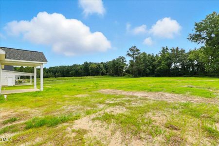 New construction Single-Family house 100 Sagewood Dr, Dudley, NC 28333 plan Riverstone - image