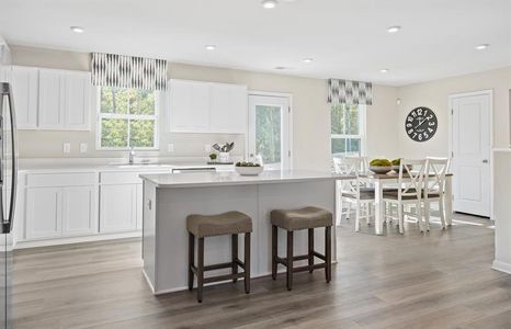 New construction Single-Family house 207 Myrtle Ln, South Mills, NC 27976 plan Cedar - image