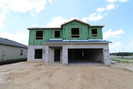 New construction Single-Family house 12219 Hilltop Farms Dr, Dade City, FL 33525 Malibu- photo 16 16