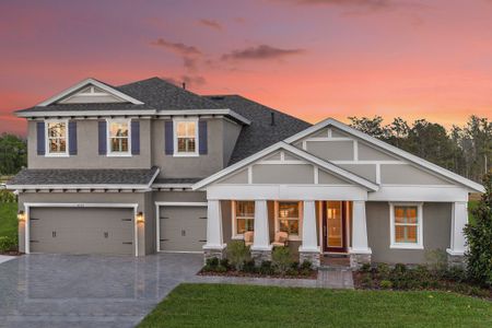 New construction Single-Family house 5379 Wolf Creek Dr, Apollo Beach, FL 33572 plan Key West II - image