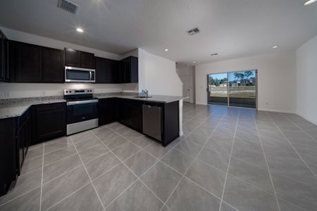 New construction Single-Family house 1422 Acorn Meadow Lp, Eustis, FL 32726 plan Claire - image 7