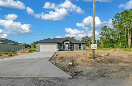 New construction Single-Family house 20 Bay Place Court, Ocklawaha, FL 32179 - photo 0