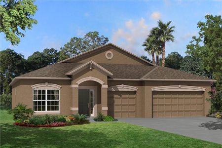 New construction Single-Family house 4969 Eagle Rock Dr, Wimauma, FL 33598 null- photo 2 2