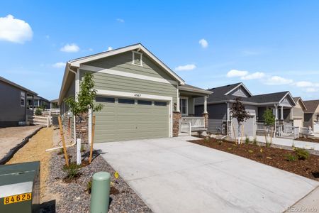 New construction Single-Family house 4567 Westlock St, Castle Rock, CO 80104 - image
