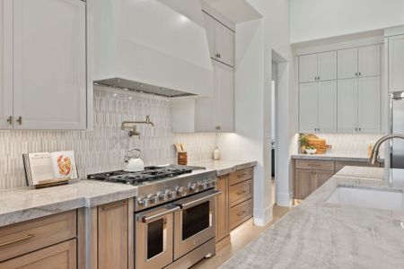 Summit Ranch by Ashlyn Homes in Aledo - image 6