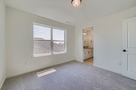 New construction Single-Family house 7906 Polson Dr, Colorado Springs, CO 80908 plan Plan C407 - image 19