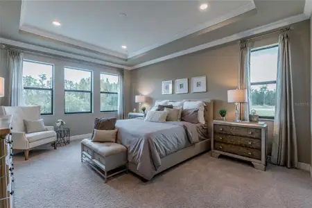 New construction Single-Family house 704 Estates Blvd, Tarpon Springs, FL 34688 - image 4