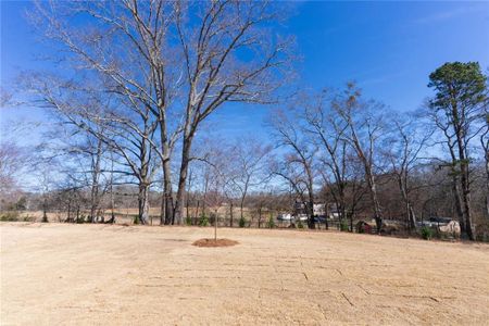 New construction Single-Family house 57 Hampton Ridge Wy, Snellville, GA 30078 Clayton- photo 46 46