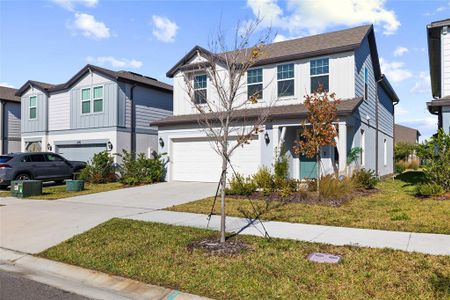 New construction Single-Family house 6214 Golden Beach Dr, Apollo Beach, FL 33572 plan Williston - image
