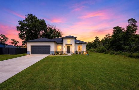 New construction Single-Family house 2523 Sw 153Rd Place Rd, Ocala, FL 34473 - image