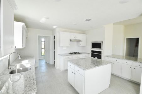 New construction Single-Family house 2203 Dorado St, League City, TX 77539 - image 8