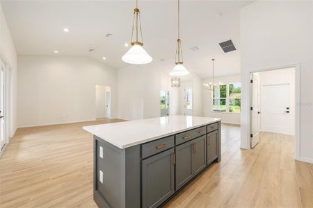 New construction Single-Family house 5912 Ne 57Th Lp, Silver Springs, FL 34488 - image 11