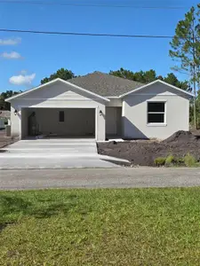 New construction Single-Family house 15 Buffalo Meadow Ln, Palm Coast, FL 32137 - image