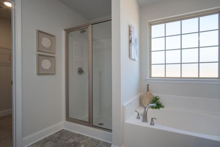 Crystal Village by Adams Homes in Albemarle - photo 20 20