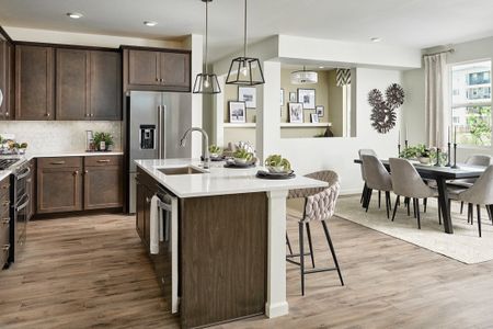 Sugar Mill Village by Tri Pointe Homes in Longmont - photo 20 20