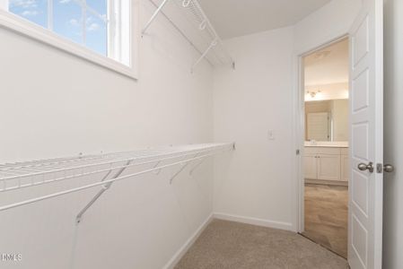 New construction Single-Family house 32 Littlefield Ln, La Grange, NC 28551 - image 15