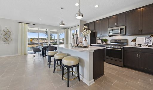 Irongate by Richmond American Homes in Jacksonville - photo 33 33