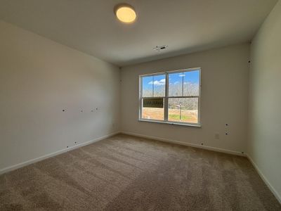 New construction Single-Family house 118 Brayden Run, Woodruff, SC 29388 plan Cary - image 13