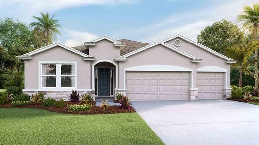 New construction Single-Family house 19843 Magnolia Springs Way, Land O' Lakes, FL 34638 Destin- photo 0